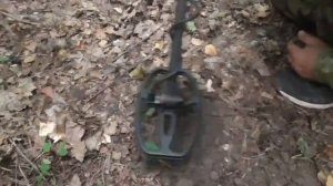 Один вечер с металлоискателем QUEST X5