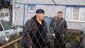 Сборная  ярмарка голубей Шахты 03.12.23.   10 000 рублей за голубя. Самые дорогие голуби на ярмарке