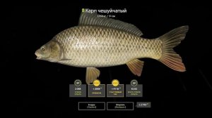 Русская Рыбалка 4.Оз.Янтарное.Фарм для Новичков!