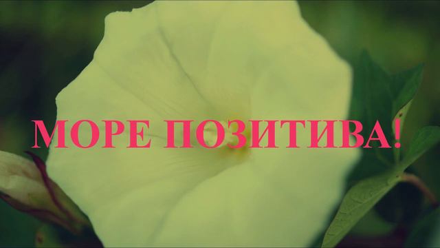 Пожелания подруге! смотреть онлайн