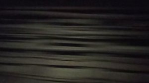 МЕТРО СПБ 2 ЛИНИЯ ГОРЬКОВСКАЯ-ТЕХНОЛОГИЧЕСКИЙ ИНСТИТУТ