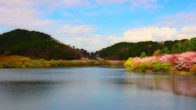 Красивая расслабляющая музыка для отдыха, сна, медитации смотреть онлайн