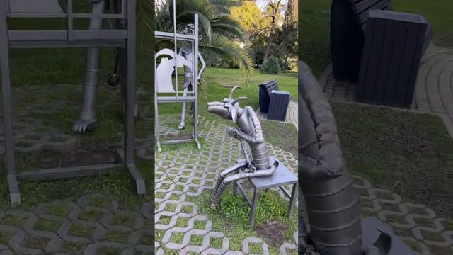 ПАЛЬМЫ #сочи #жизнь #жизньпрекрасна #жизньпрекраснаиудивительна #пальмы смотреть онлайн