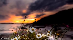 Одинокая сирота нехотя брела с работы домой, ведь там её никто не ждал. Но зайдя в подъезд...