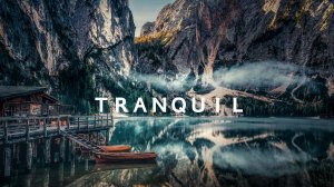 Ambient Music / Blut Own, Zeitfall - Tranquil