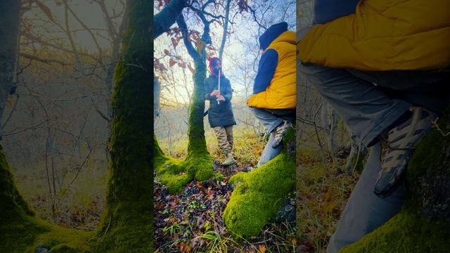 Autumn uadyndz 2 / Уадындзы осени 2 смотреть онлайн