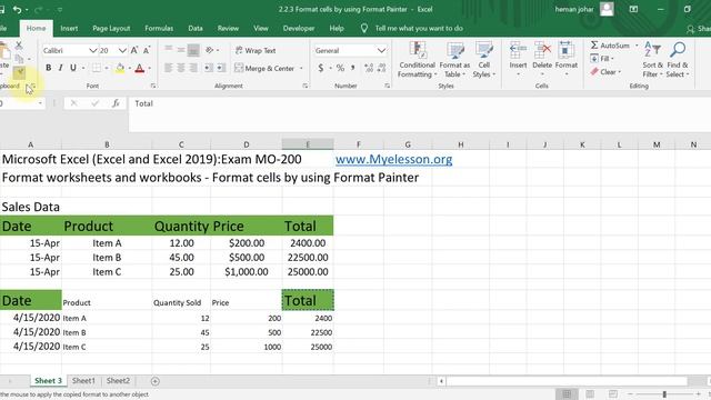 Learn Excel | Format Cells by Using Format Painter in Excel Hindi