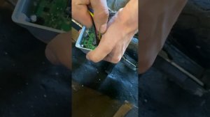 Пытаемся найти Error 18_ошибка 18 с выключенным экраном, не показывает скорость G30, ремонт самоката