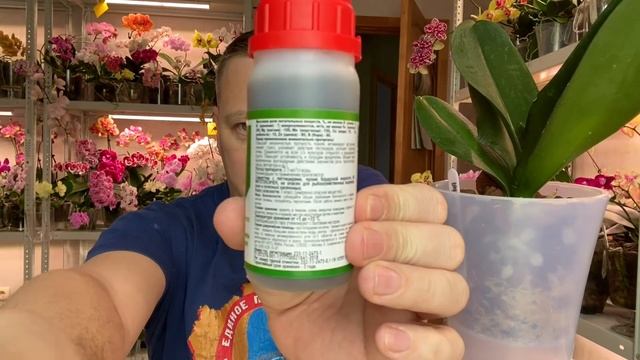 для орхидеи КАПРИЗНОЙ новое двойное средство: стимулятор орхидеи и защита от болезней СИЛИПЛАНТ