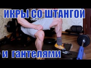 Как накачать икры со штангой с гантелями, дома или в зале!
