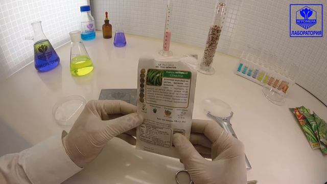 Горох овощной Сенатор. СеДеК смотреть онлайн