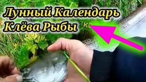 Пойдёшь в Эти лунные сутки☝Обязательно наловишь рыбы?