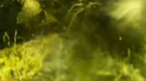 ПОДВОДНАЯ ОХОТА НА РЕКЕ ХОПЁР