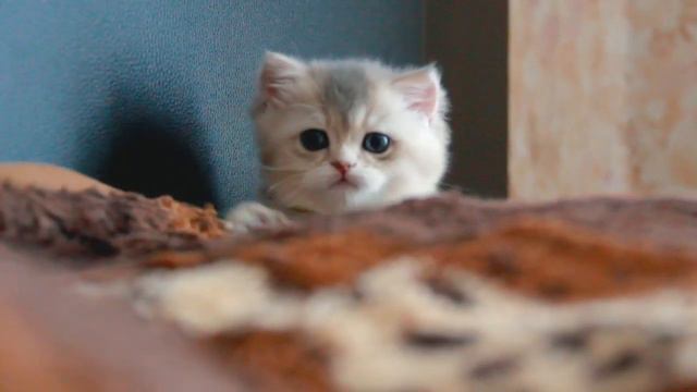 Когда у тебя есть ребенок. смотреть онлайн