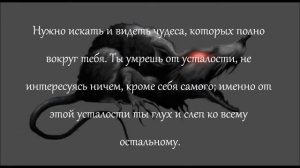 К. Кастанеда - Цитата 2