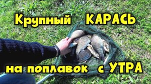 Ловля карася с утра на поплавок