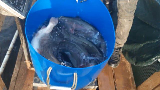 3 октября 2020 г.(1) смотреть онлайн