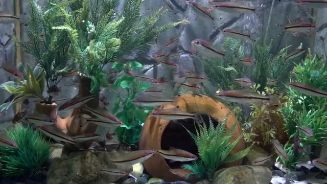 Винперл на острове Фукуок, Вьетнам. Парк развлечений Vinpearl Land Phu Quoc смотреть онлайн