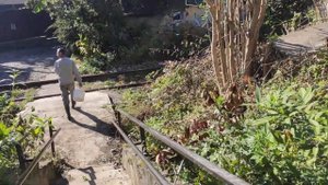 Гостевой Дом в г Гагра путь на море