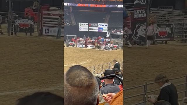 Rodeo Bull Rider!  This Bull has HORNS!  Cowboy Rides Bull!