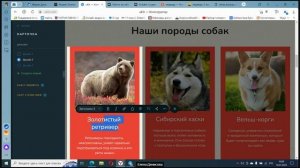 Работа в uKit