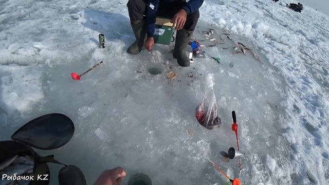 БЕШЕНЫЙ КЛЁВ ВОБЛЫ,ПОЙМАЛИ ЛЕЩА!!! КРУТАЯ РЫБАЛКА ПОЛУЧИЛАСЬ,