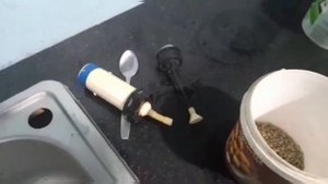 Выходной день Голубятника, советы по выкармливанию пискунов от Едиля. Демалыс көгершіншілердін күні