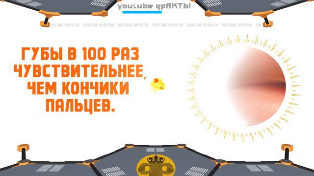 Занимательные факты, знаете ли вы что... [Выпуск 4] смотреть онлайн