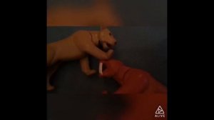 Smilodon Populator Vs Panthera Leo Atrox (American Lion)!