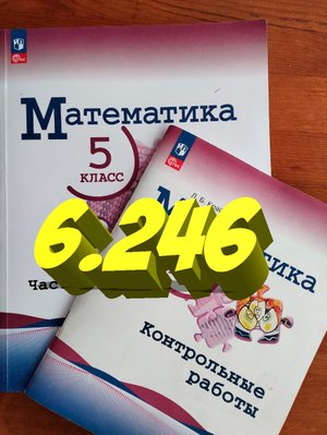 математика 5 класс номер 6.246