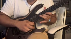 And I Return to Nothingness (solo cover)