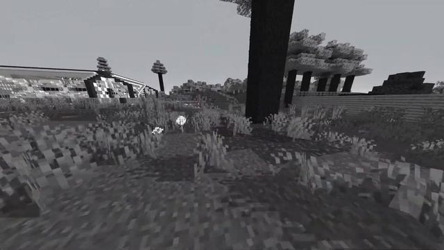 Pack & White - 1.16! - The Black & White resource pack [Release] смотреть онлайн