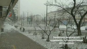 Ураган в Новороссийске 7 февраля 2023. Последствия сильного ветра