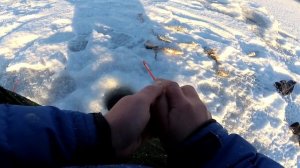 ОКУНИ на БЕЗМОТЫЛКУ озеро Малый Уткуль