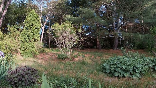 Stihl FS 94R - My thoughts/pros and cons смотреть онлайн