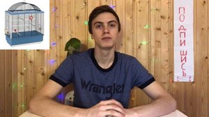 Какую клетку выбрать для волнистого попугая. Выбираем клетку.