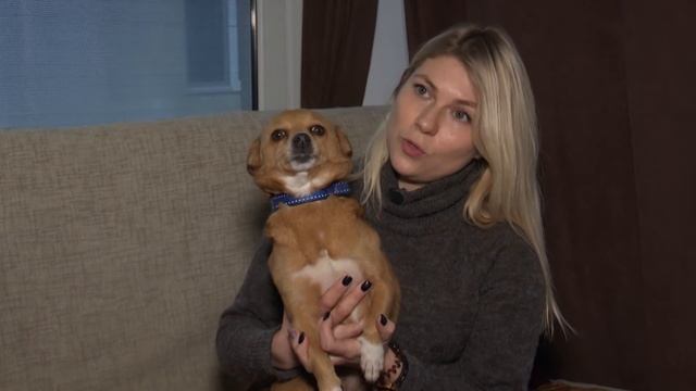 ПОДАРИ ДОМ ПИТОМЦУ. ЛЁЛЯ, 5-6 ЛЕТ смотреть онлайн