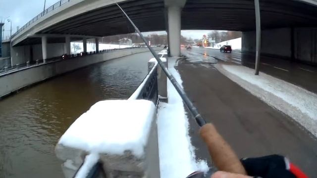 Кто, кто под мостом живёт??? Судак в центре Москвы!!! #рыбалканаспиннинг #судак #ловлясудака