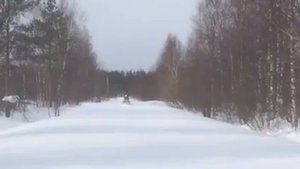 На мотособаке по глубокому снегу