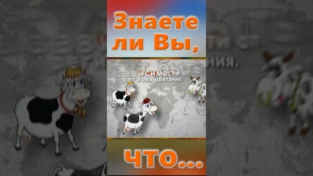 Знаете ли Вы, Что? Страна Белиз