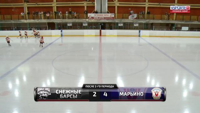 Снежные барсы - Марьино | 2012 | 18.09.21 смотреть онлайн