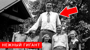 Нежный Гигант (272 см) | Самый высокий человек, его рекорд не побит до сих пор. Как он жил?