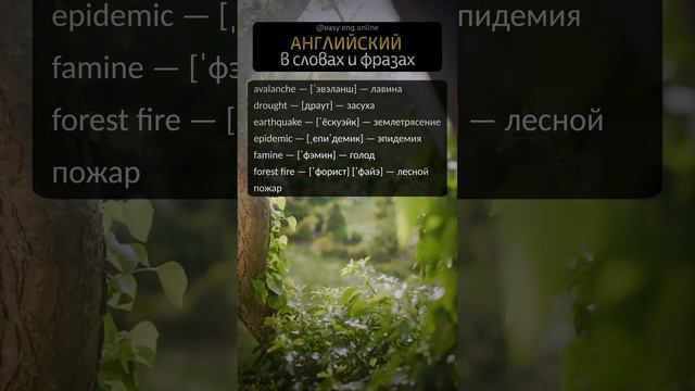 ⭐ СЛУШАТЬ И ГОВОРИТЬ ПО-АНГЛИЙСКИ | 🎧 Повышение уровня владения английским словами