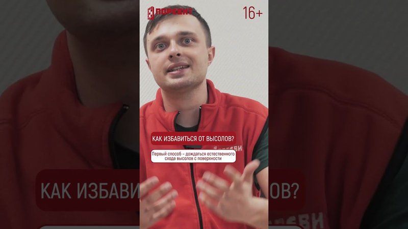 Как избавиться от высолов на тротуарной плитке? 1 совет. #shorts