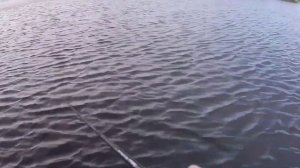 Щука на бигбейты на малой реке. Поиск трофейной щуки на небольших глубинах в сентябре.