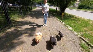 Русская тройка