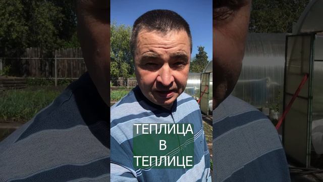 Теплица  в теплице