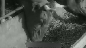 Орошение.mp4