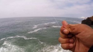 Rock Fishing With Berkley Gulp Sandworms