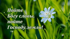В вышине под небесами (фонограмма). Песнь Возрождения